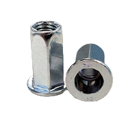 Hex Body Rivet Nut Class 10